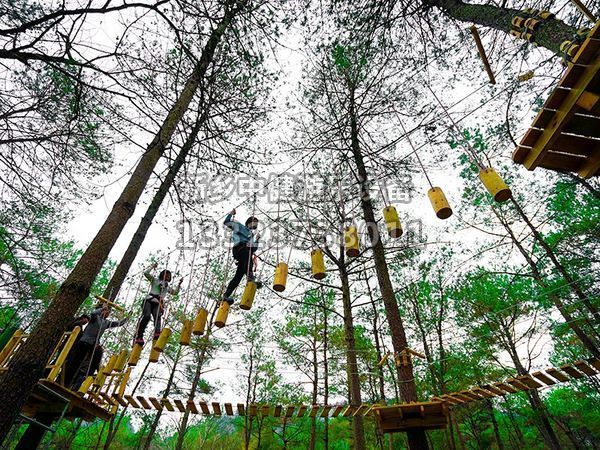 景區(qū)為什么要搭建叢林穿越設(shè)備？